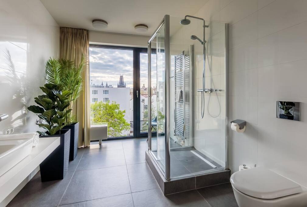 5br+2bath Old Town Industrial Penthouse, A/c Praha